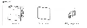 Screenshot 2026-10-24 at 1.01.31 AM.webp