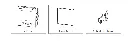 Screenshot 2026-10-24 at 1.05.08 AM.webp