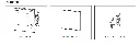 Screenshot 2026-10-24 at 1.07.00 AM.webp